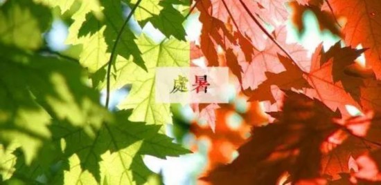 մ֪ϻֻʲô?