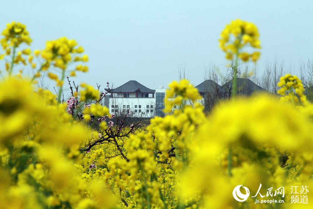 走进“煤城”徐州贾汪:昔日塌陷区蜕变为旅游新城