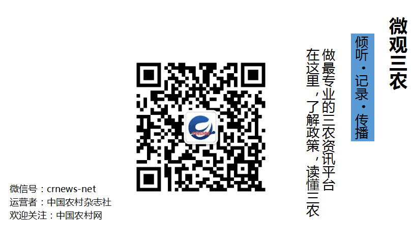 《第五十一批农作物种子生产经营许可证》第四十一批《转基因棉花