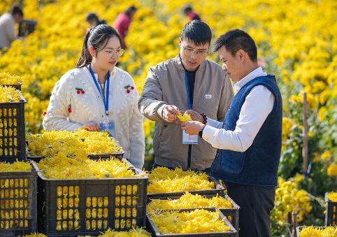 Ϊ��������� ��ʵ�ɳ�����