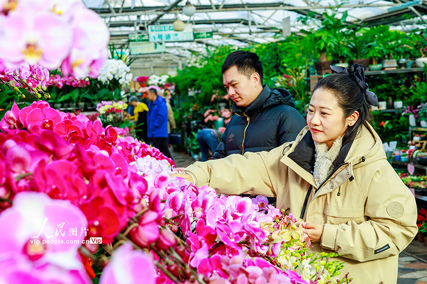 �½���³ľ�룺���껨����������ѡ��