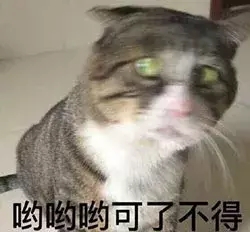 “严书记”被双开!春风不再得意,严夫人“立大功”!