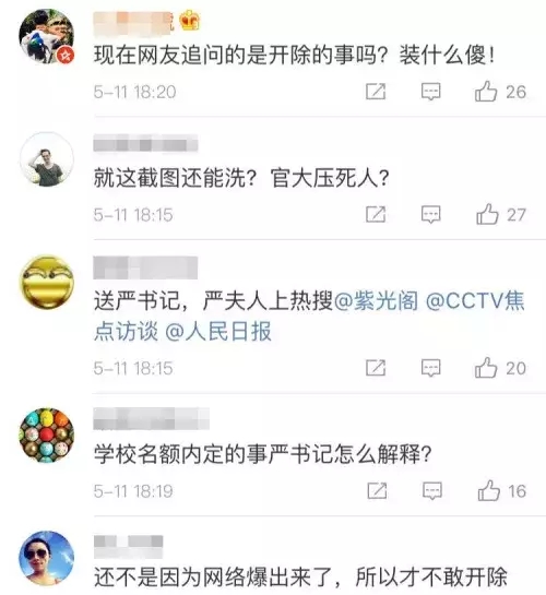 “严书记”被双开!春风不再得意,严夫人“立大功”!