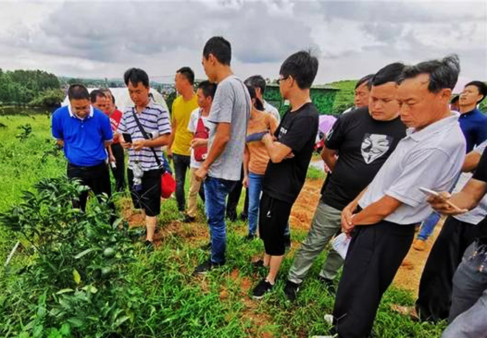 农业农村大数据 带你了解田间地头的新鲜事儿
