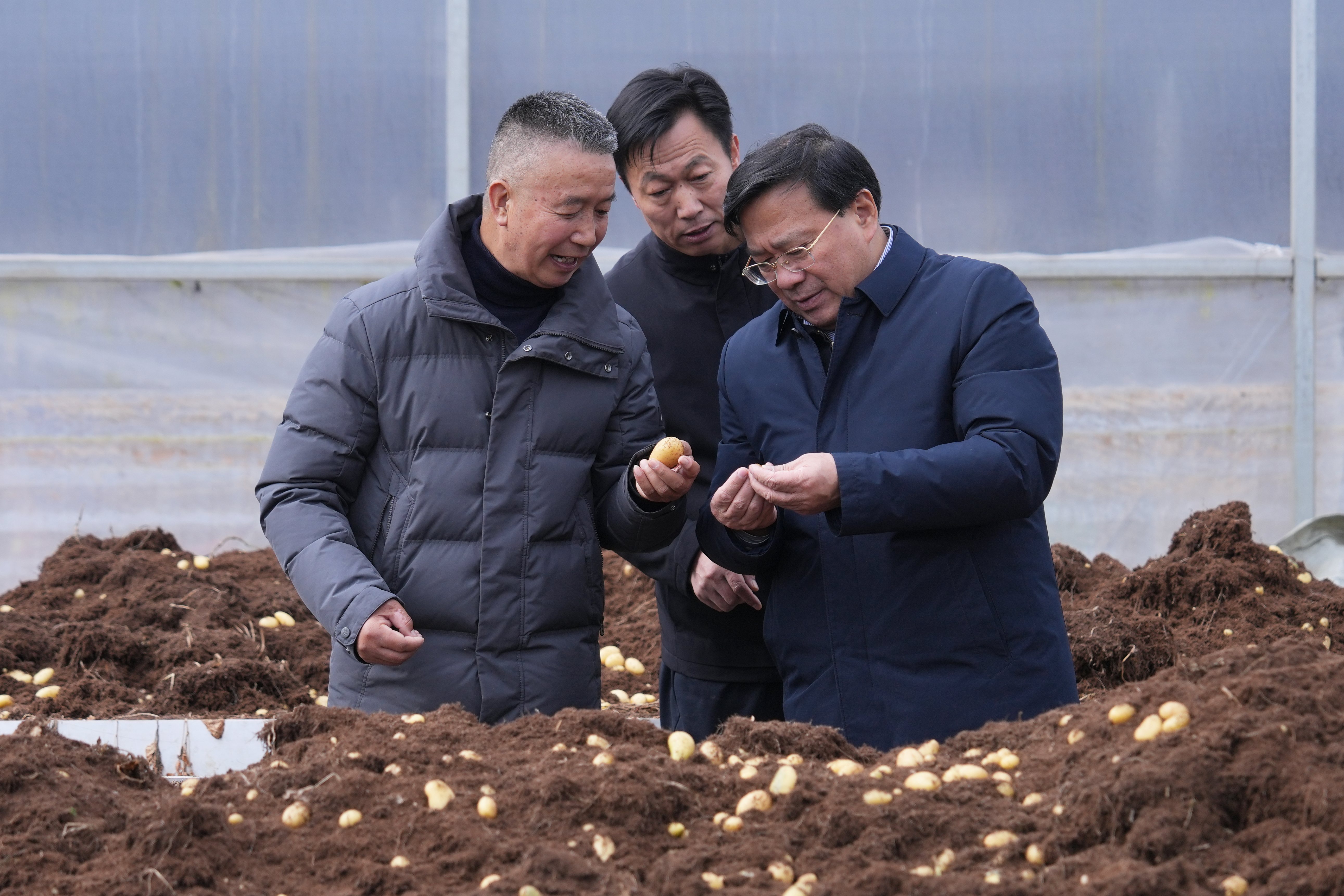 ڸʱǿ չƶɹ ׳ɫҵ