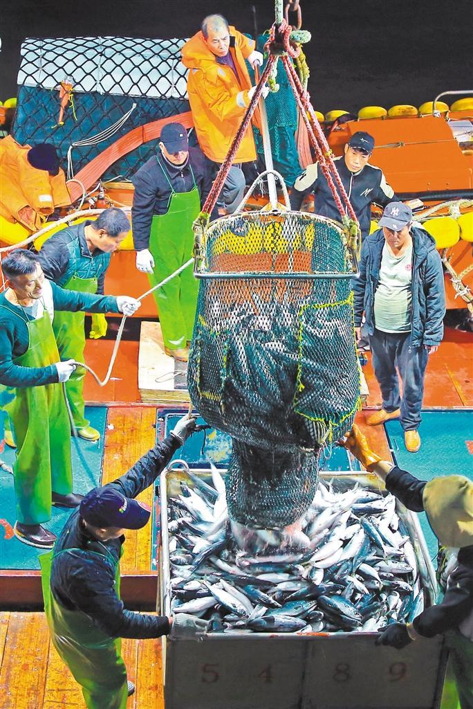 �������Ȳ����ӱ�����