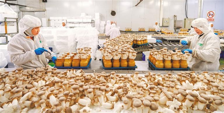 �������Ȳ����ӱ�����