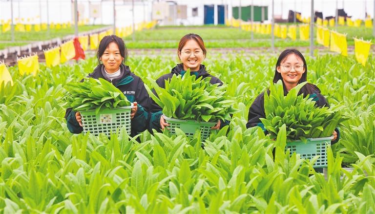 �������Ȳ����ӱ�����