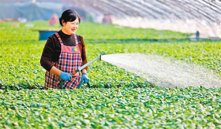 �������Ȳ����ӱ�����