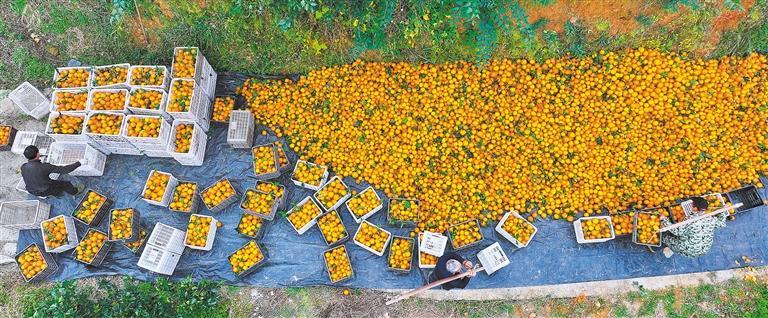 �������Ȳ����ӱ�����