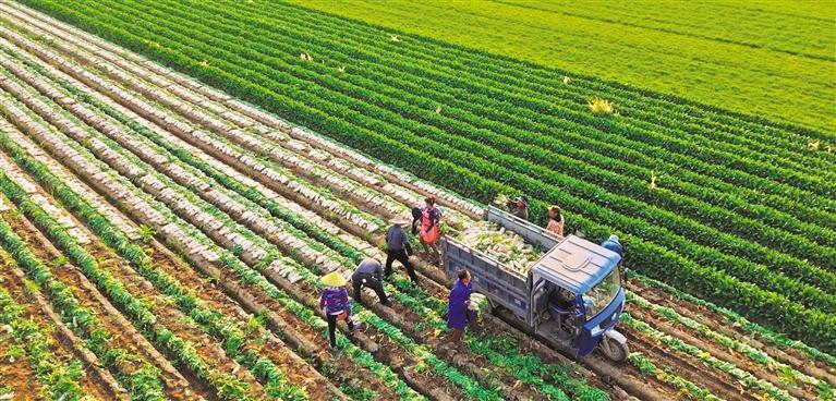 �������Ȳ����ӱ�����