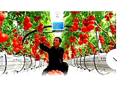 ��ɽ����ʩ��� ���Ƽ� + ������ ��ɫ