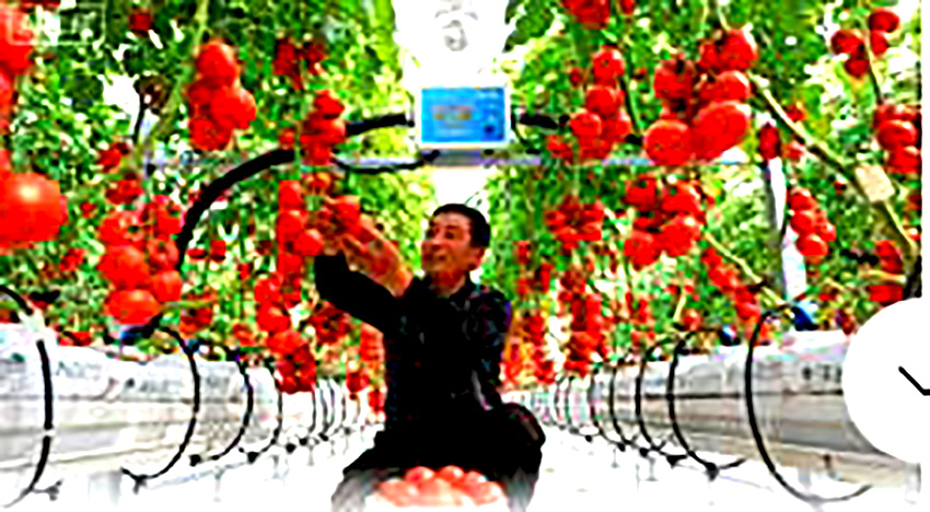 ��ɽ����ʩ��� ���Ƽ� + ������ ��ɫ���߲�ҵ��Ϊ������ˡ������桱